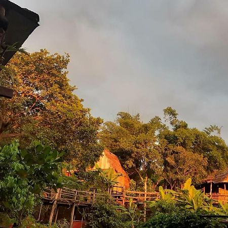 Tree Lodge Banlung Exteriér fotografie