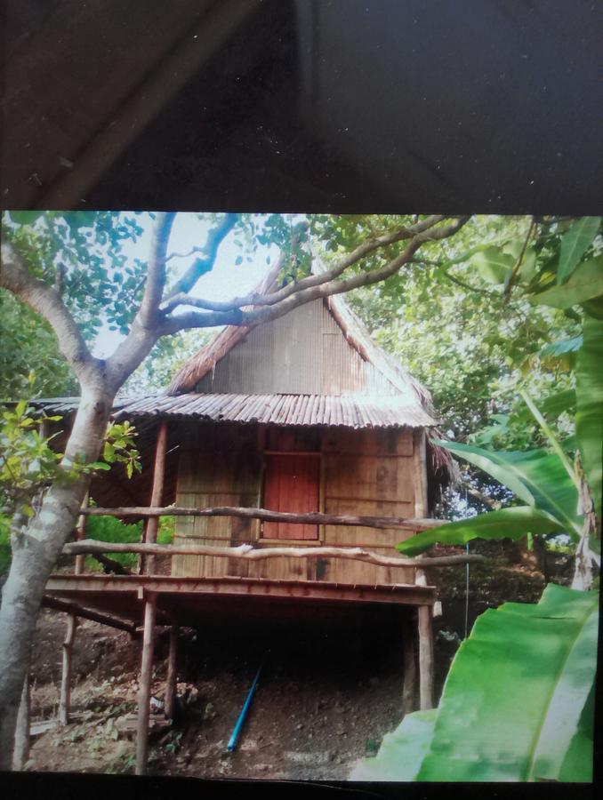 Tree Lodge Banlung Exteriér fotografie