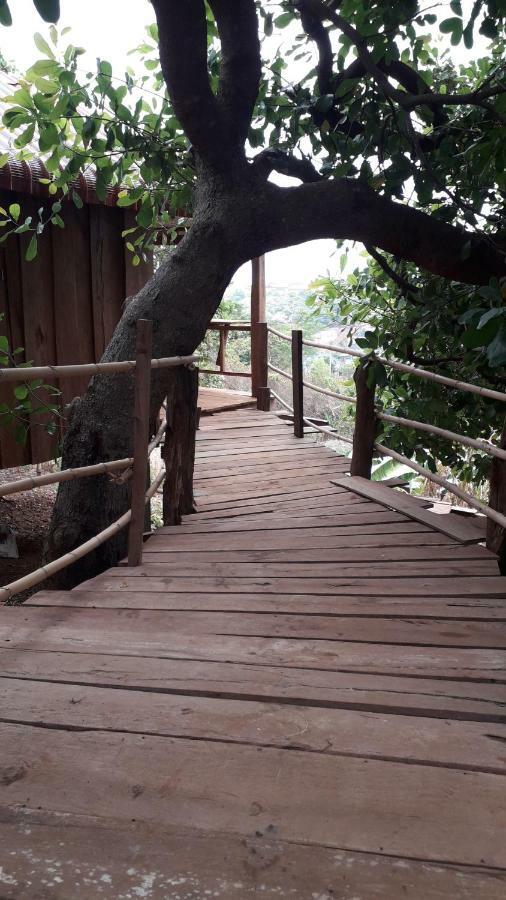 Tree Lodge Banlung Exteriér fotografie