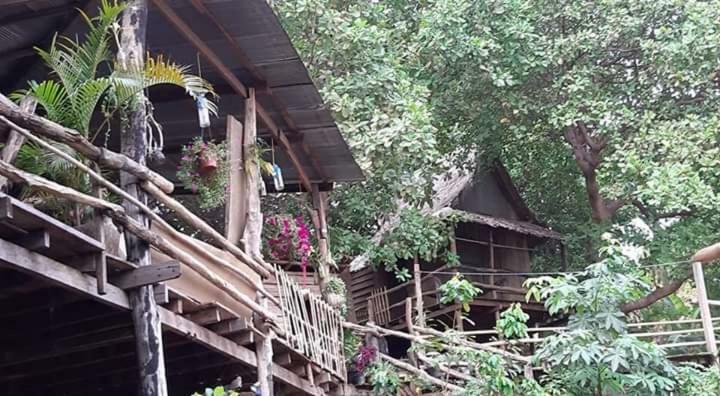 Tree Lodge Banlung Exteriér fotografie